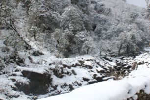 Annapurna Snowfall